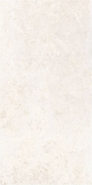 OL Limestone Bianco Matte 24 x 48